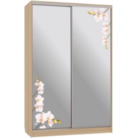 Шкаф-купе Гранд 4-600