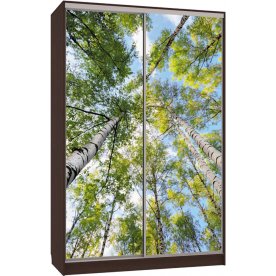 Шкаф-купе Гранд 7-600 57