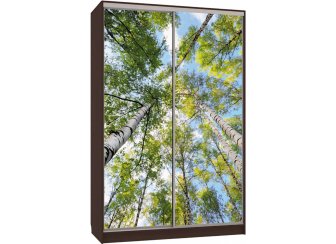 Шкаф-купе Гранд 7-600 57