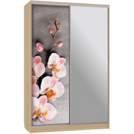 Шкаф-купе Гранд 9-600 78