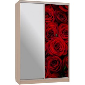 Шкаф-купе Гранд 9-600 89