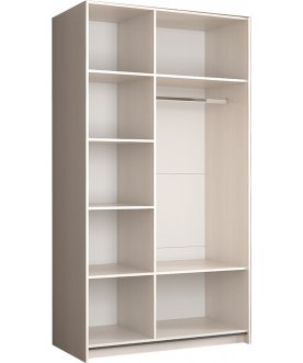 Шкаф-купе Иннэс-5