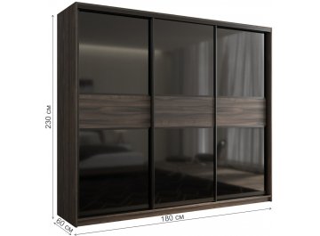 Шкаф-купе Кааппи 12