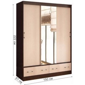 Шкаф-купе Модерн-2
