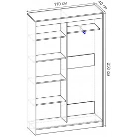Шкаф-купе Риф 2 ШК.021.1100-25 вариант 6
