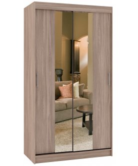 Шкаф-купе Риф 2 ШК.020.1200-23 вариант 4