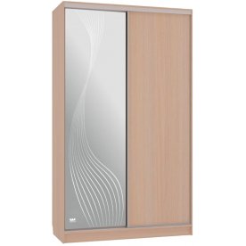 Шкаф-купе Рио 1-600