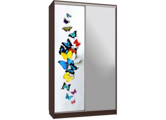 Шкаф-купе Рио 9-600 88