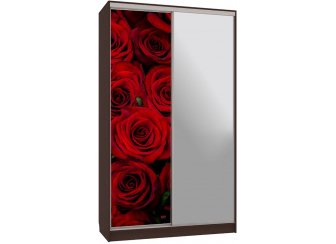 Шкаф-купе Рио 9-600 89