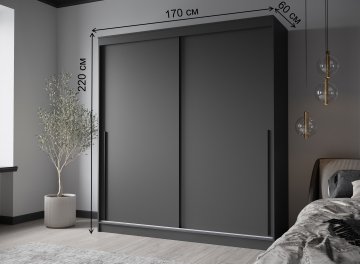 Шкаф-купе Хайтс-7