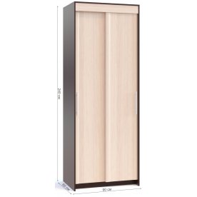 Шкаф-купе ШР-96.1