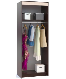 Шкаф-купе ШР-96.1