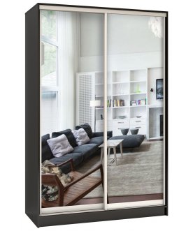 Шкаф-купе Стандарт 2 ШК.004.1200-08