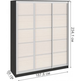 Шкаф-купе Стэн 140.05.001