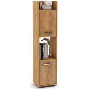 дуб золотистый