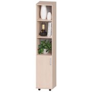 дуб молочный