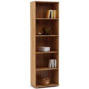 дуб золотистый