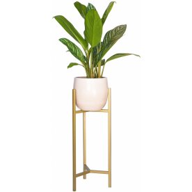 Цветочница Агния 30