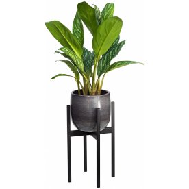 Цветочница Верона 20