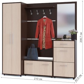 Модульная прихожая ТП-3 + ТП-2 + ПЗ-3 + ВШ-3.1 + ШО-1