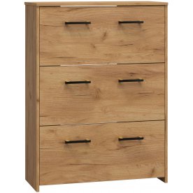 Обувница Агата АТ-1