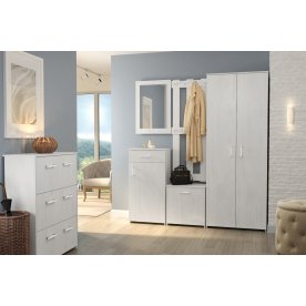 Обувница Агата АТ-1