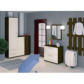 Настенная вешалка СТ-280