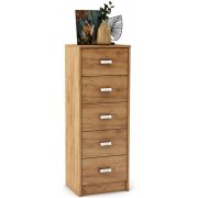 дуб золотистый