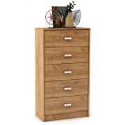 дуб золотистый