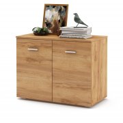 дуб золотистый