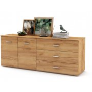 дуб золотистый