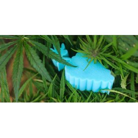 Матрас Amnesia XL