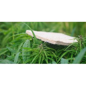 Матрас Indica XL