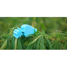 Матрас Sativa L