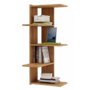 дуб золотистый