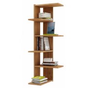 дуб золотистый