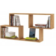 дуб золотистый