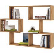 дуб золотистый