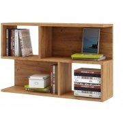 дуб золотистый