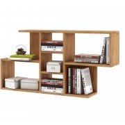 дуб золотистый