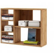 дуб золотистый