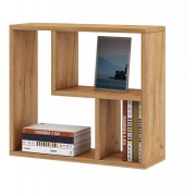 дуб золотистый