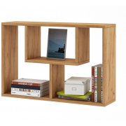 дуб золотистый