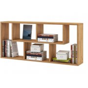 дуб золотистый