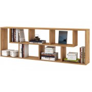 дуб золотистый