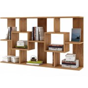 дуб золотистый