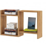 дуб золотистый