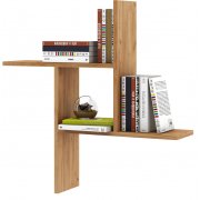 дуб золотистый