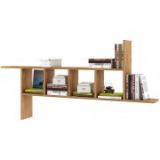 дуб золотистый