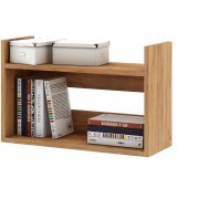 дуб золотистый